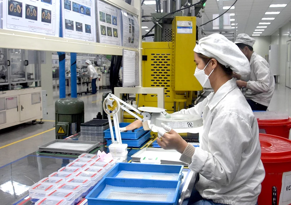 Vững tin, tăng tốc phục hồi trong năm mới