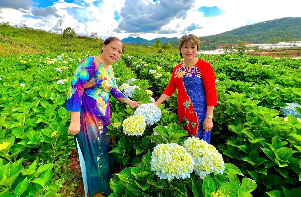 Du lịch canh nông với đông trùng hạ thảo Thiên Vương
