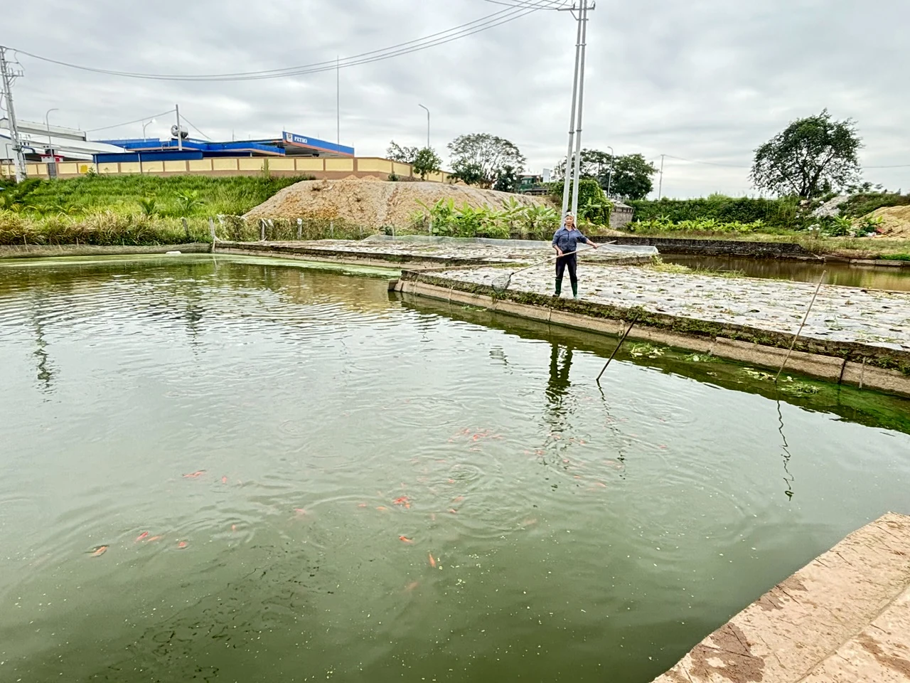 The red carp craft village prepares for the season