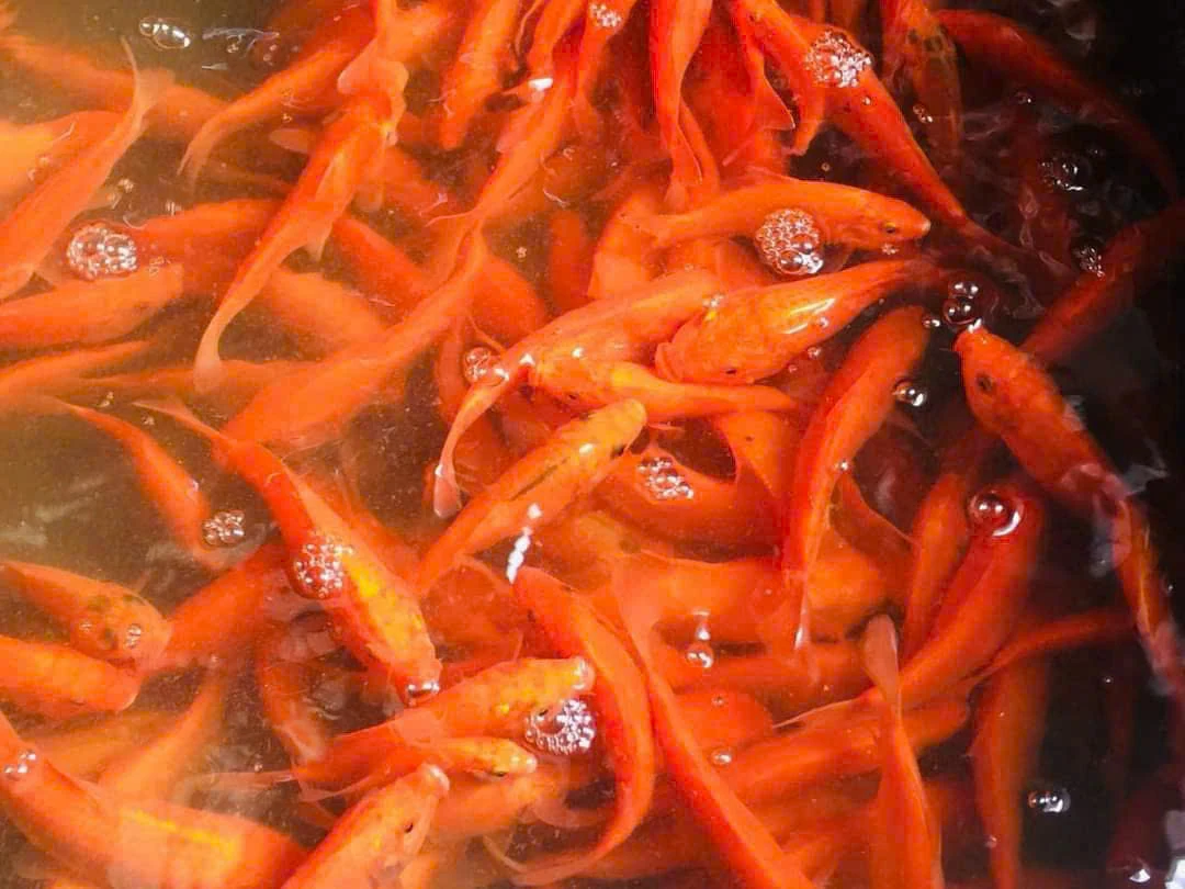The red carp craft village prepares for the season
