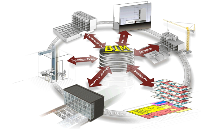 BIM Manager là gì? Lợi ích và Chứng chỉ từ RDSIC Viện Tin học Xây dựng