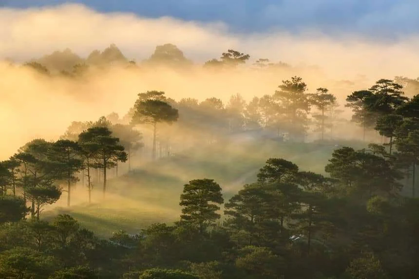 Ấm áp tình người trong sương sớm