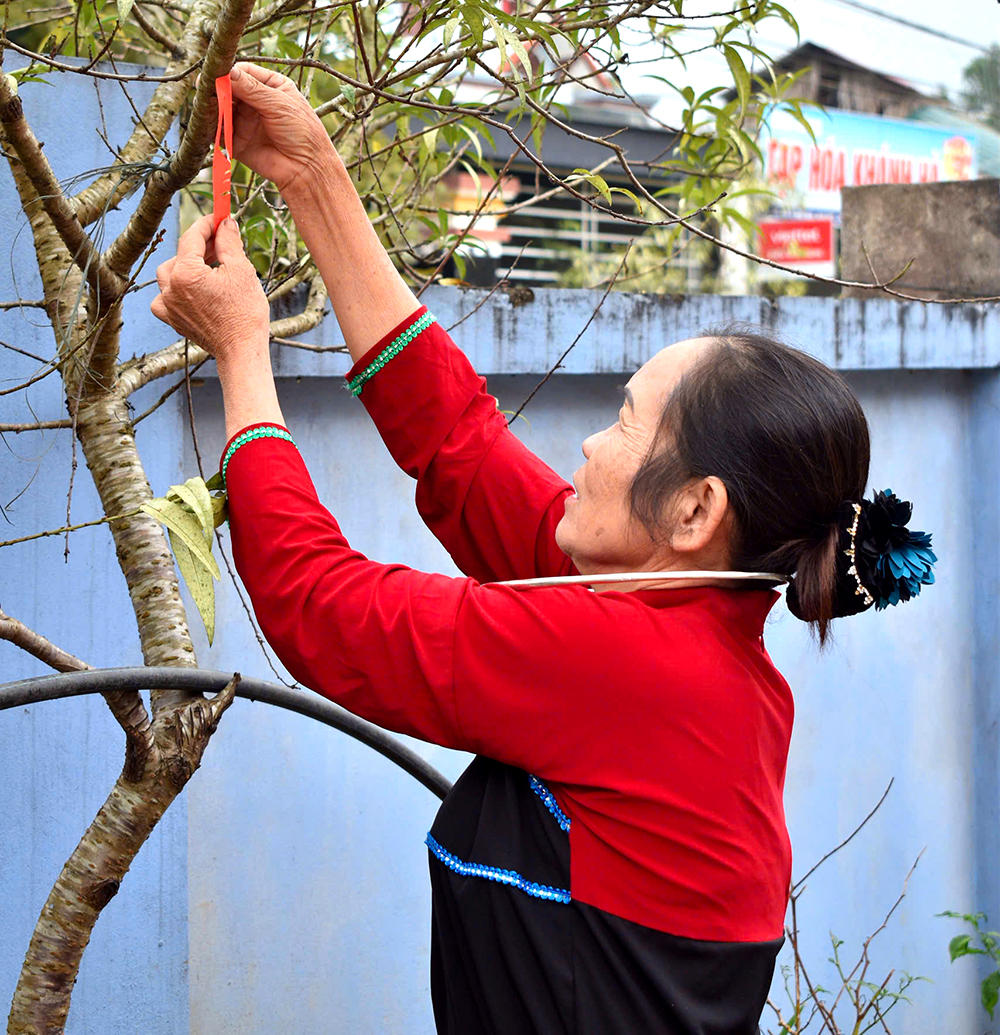 Sắc đỏ đón mùa Xuân