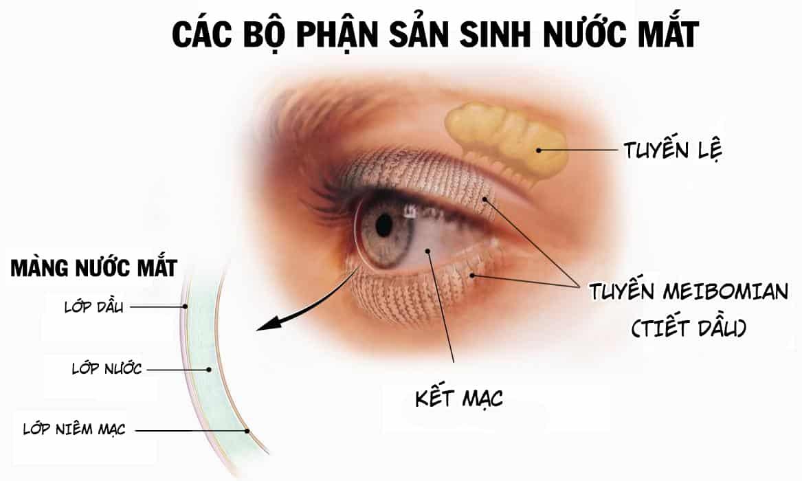 Cách nào phòng ngừa khô mắt?