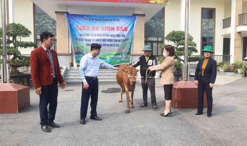 Bàn giao bò giống sinh sản cho hộ nghèo, cận nghèo tại Lâm Thao