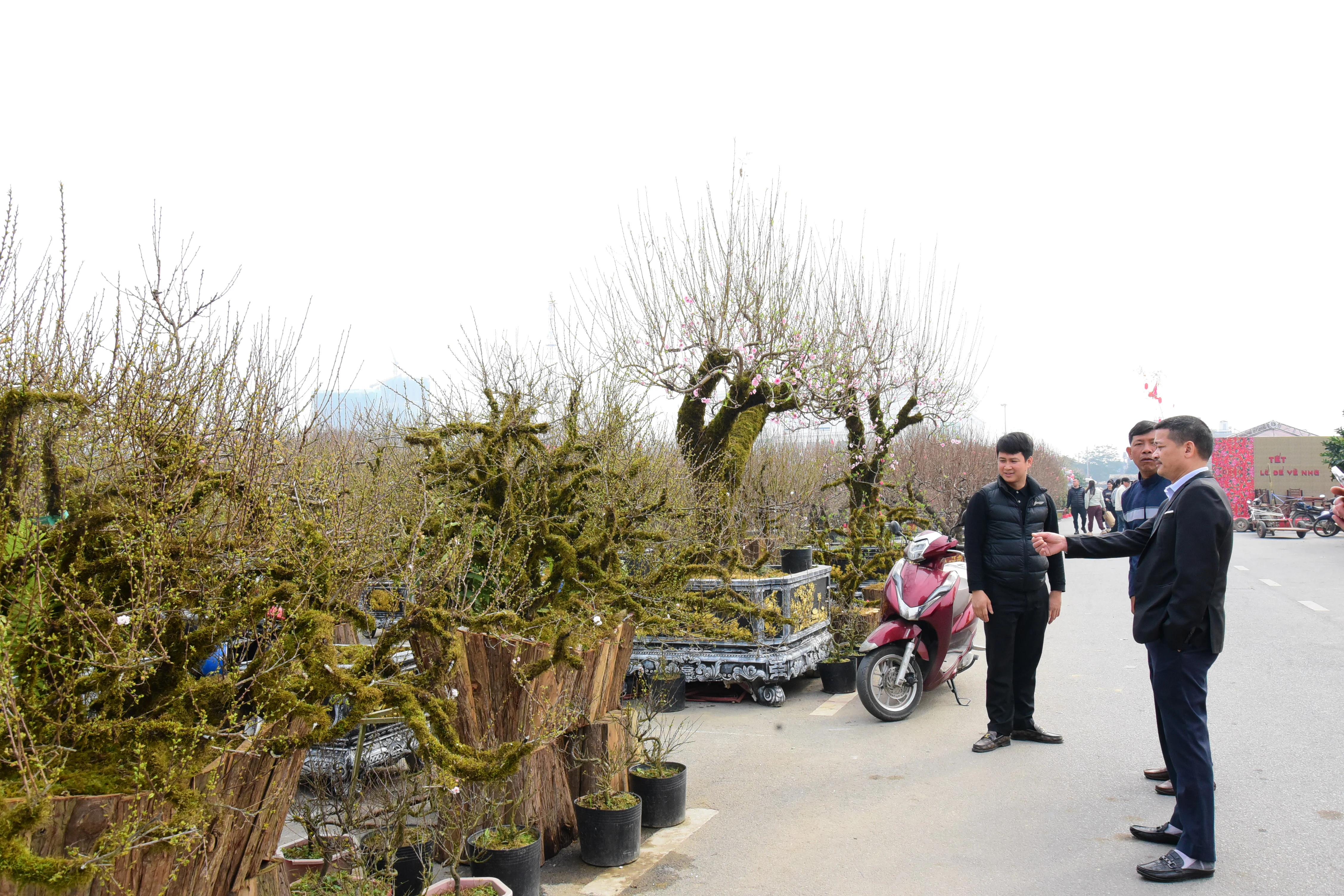 Vibrant Flower Market during Tet
