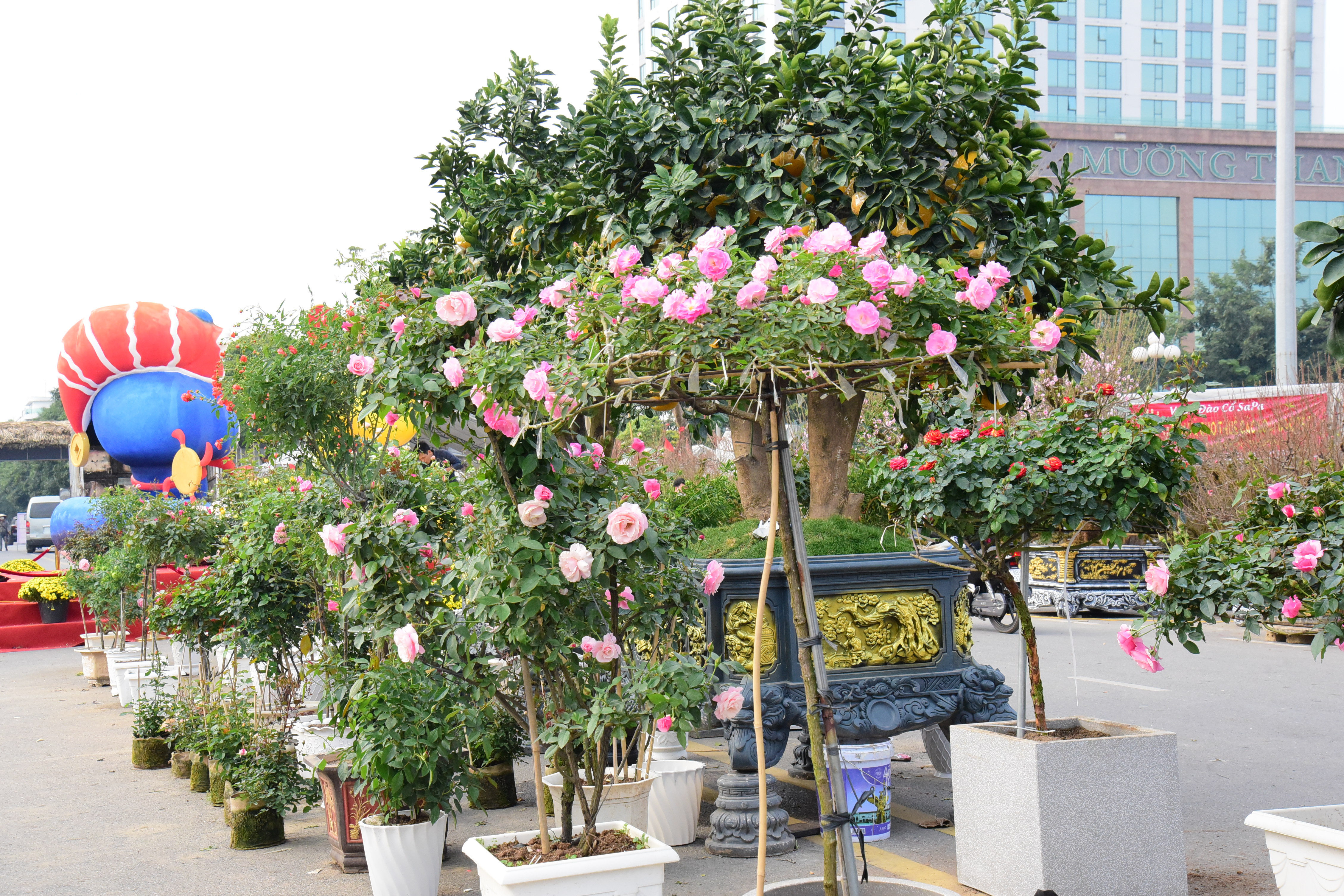 Vibrant Flower Market during Tet