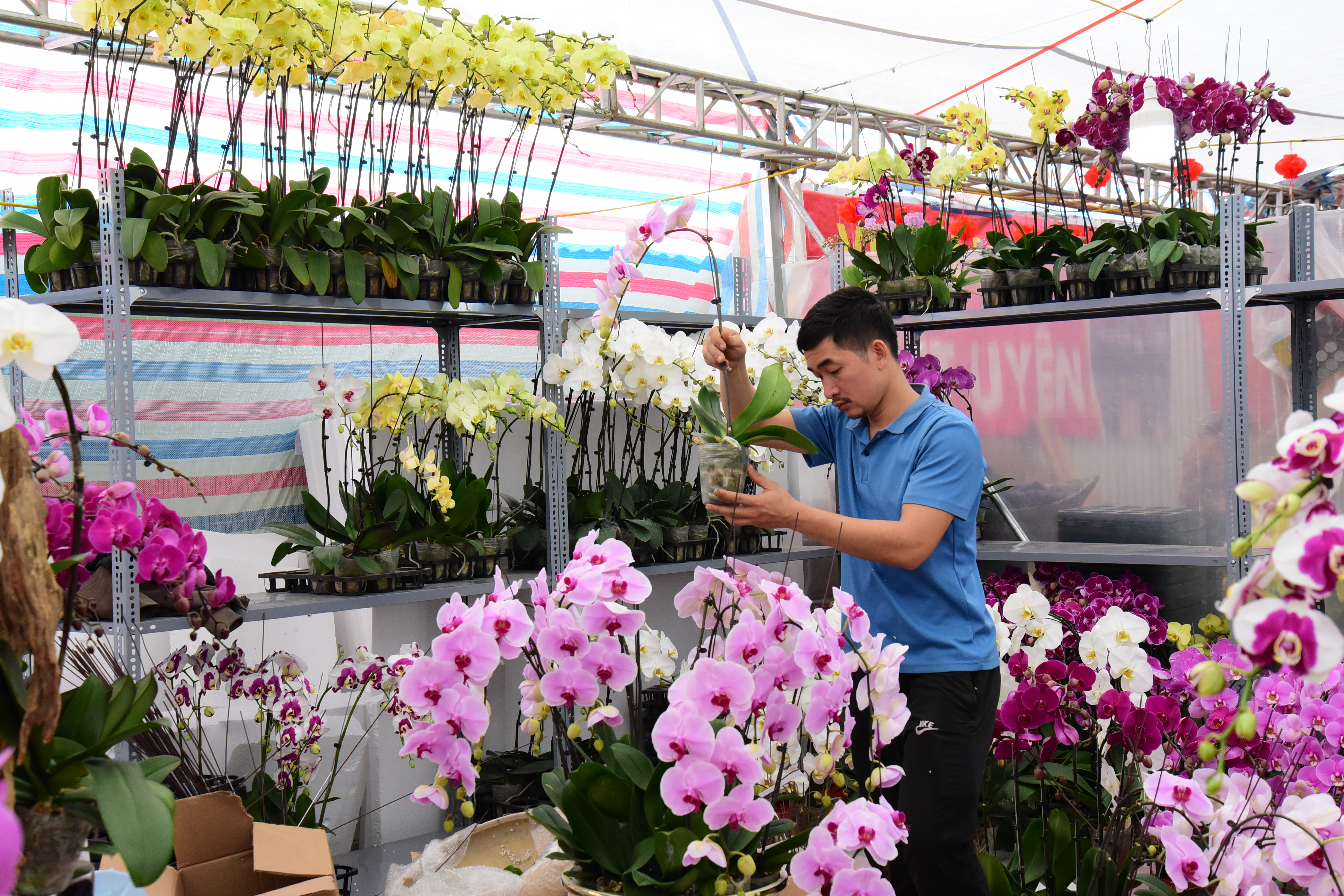 Vibrant Flower Market during Tet