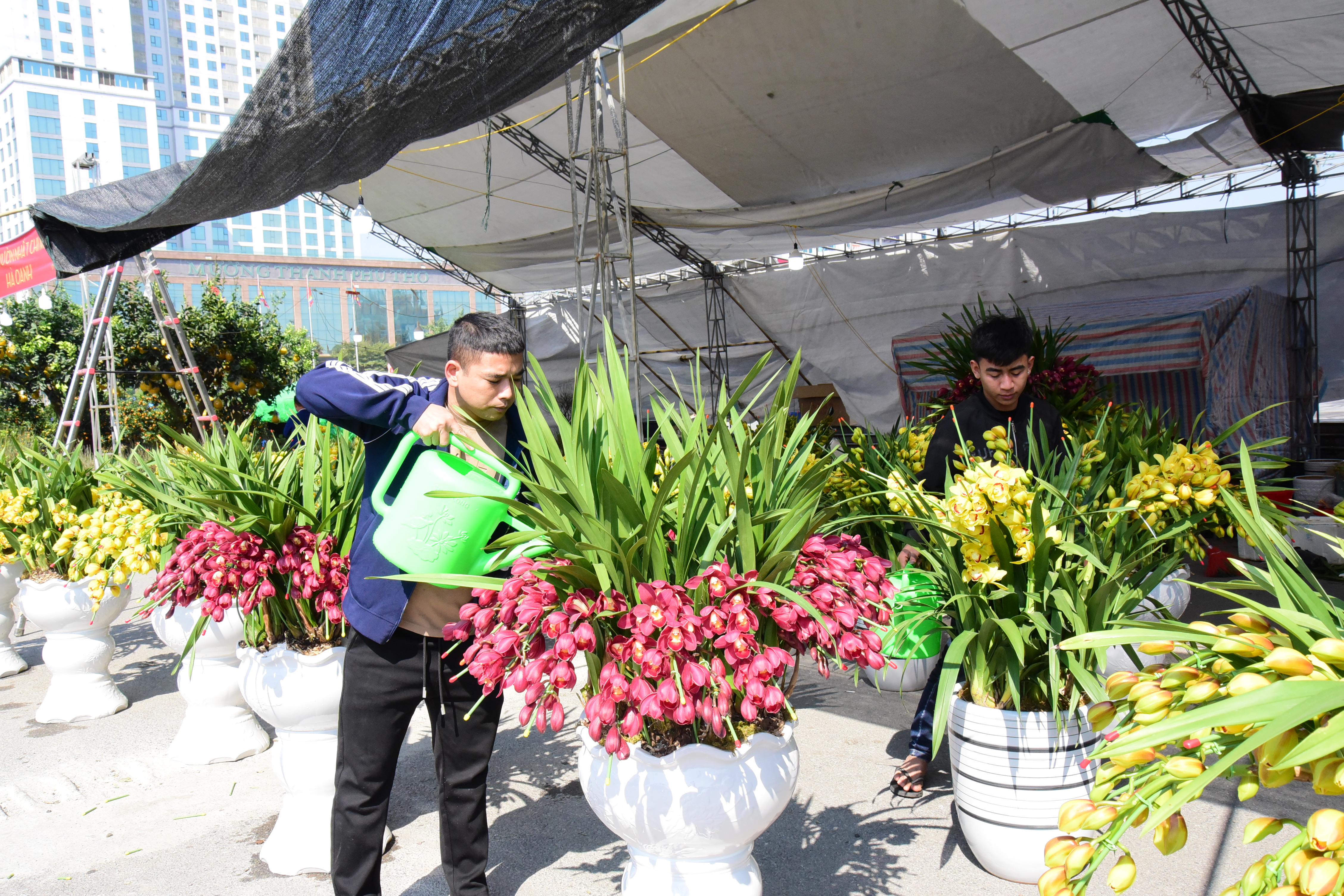 Vibrant Flower Market during Tet