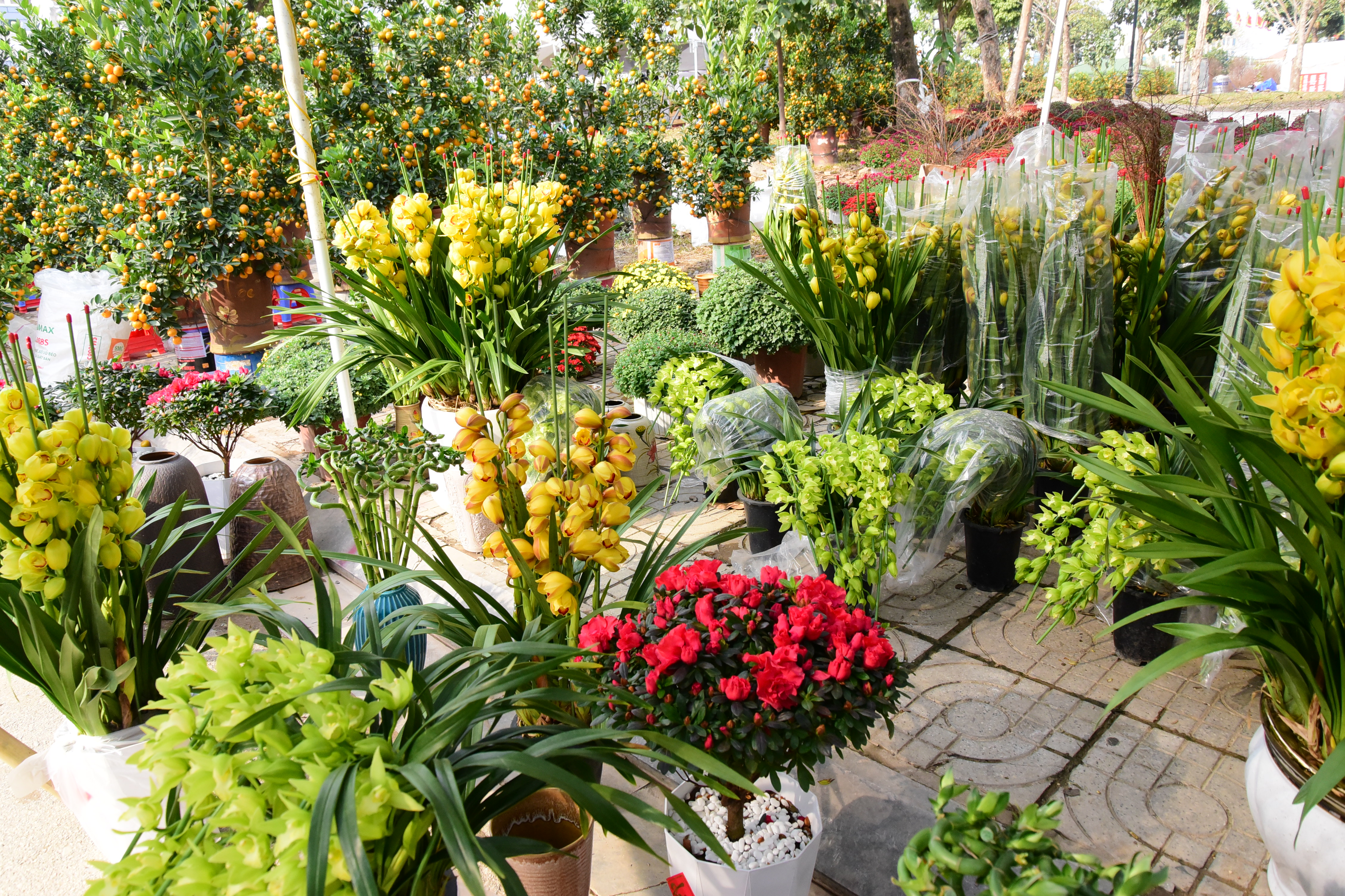 Vibrant Flower Market during Tet