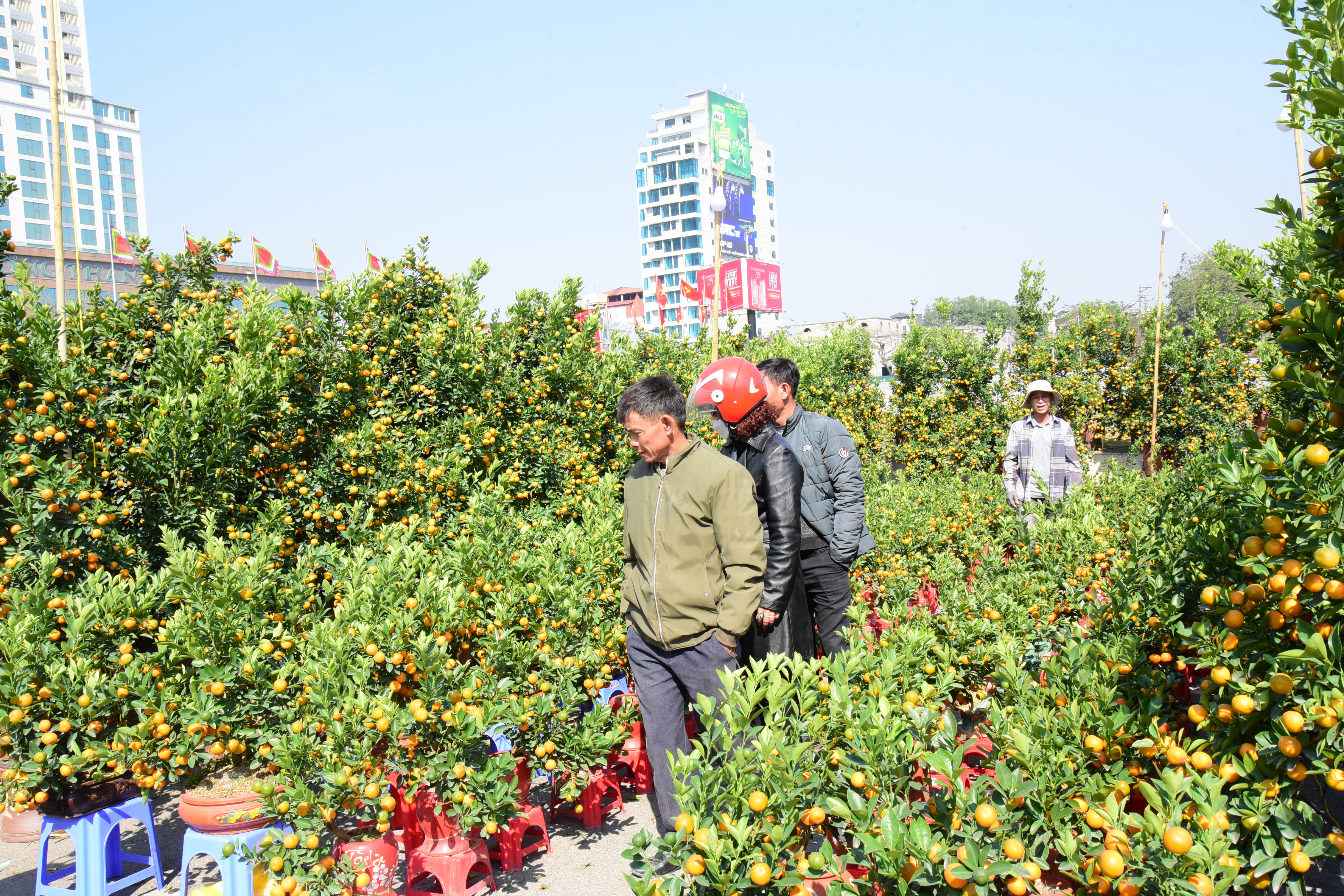 Vibrant Flower Market during Tet