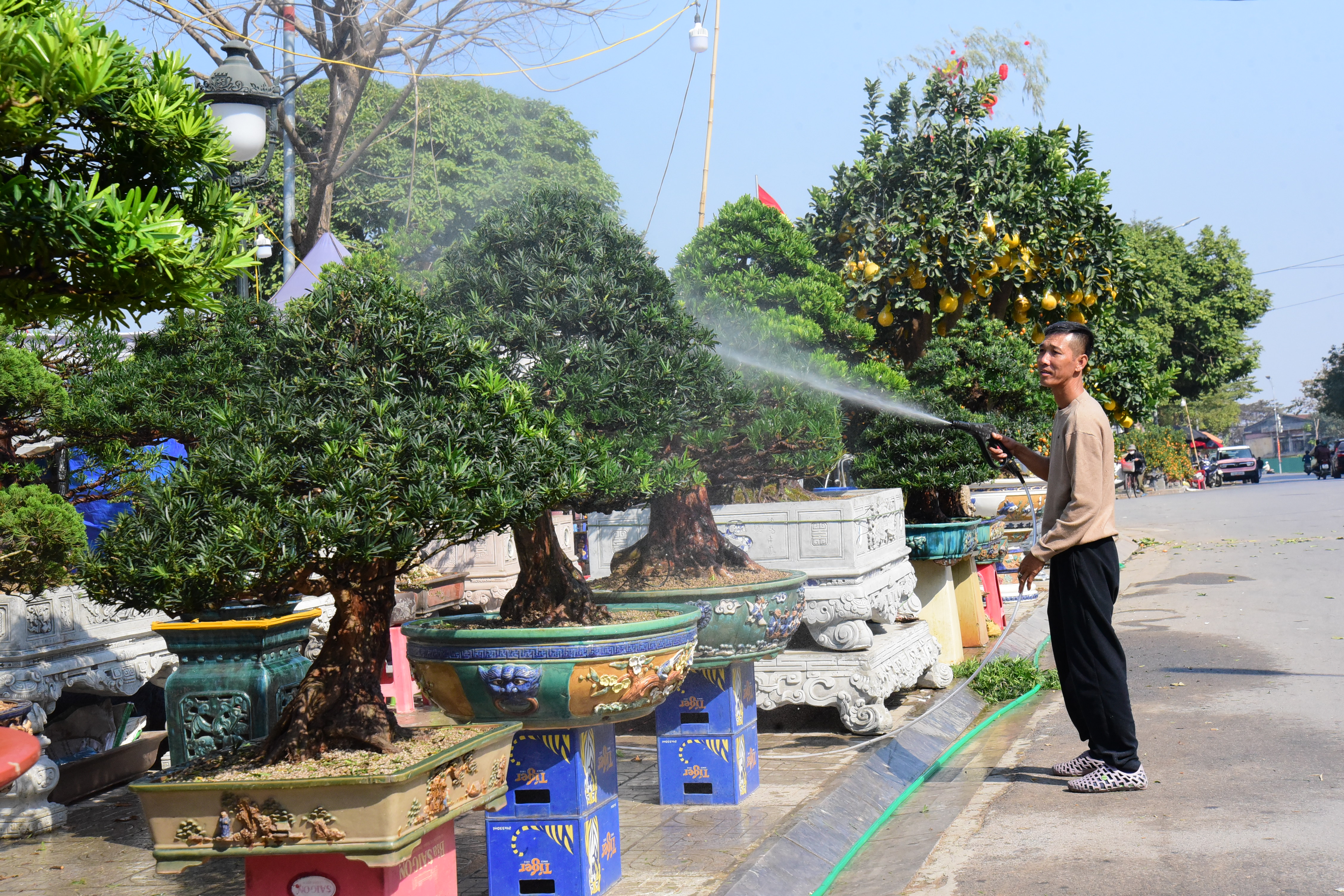 Vibrant Flower Market during Tet