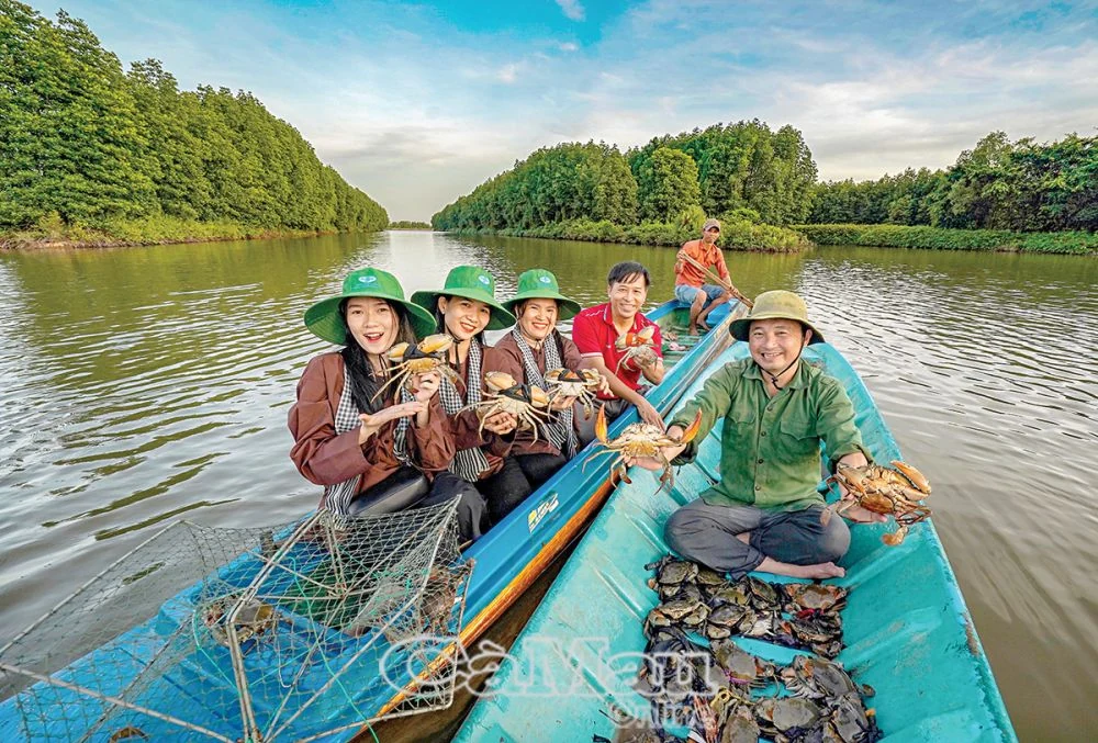 Nơi rừng xanh, biển bạc