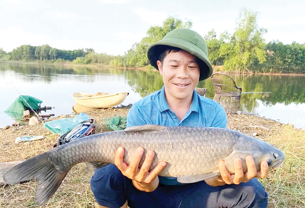 Săn “hàng” tự nhiên