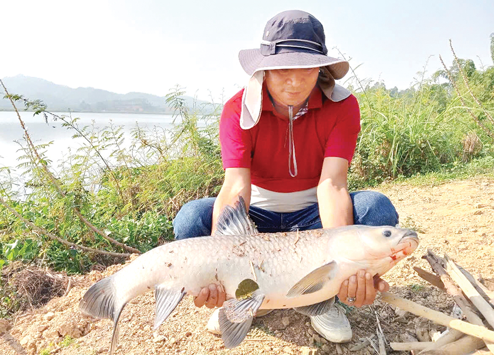 Săn “hàng” tự nhiên