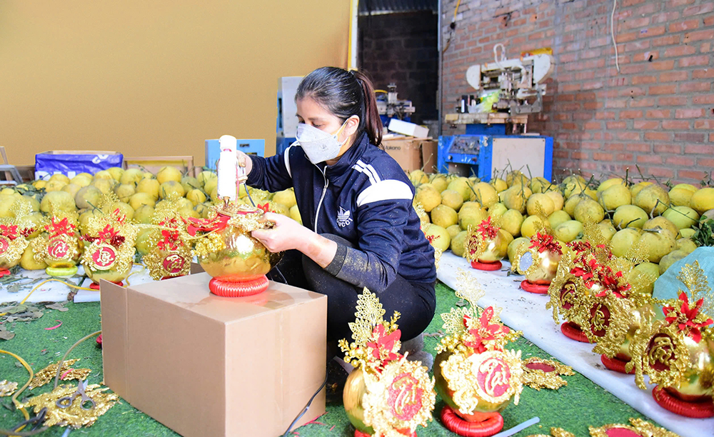 Unique Tet Fruit Decoration