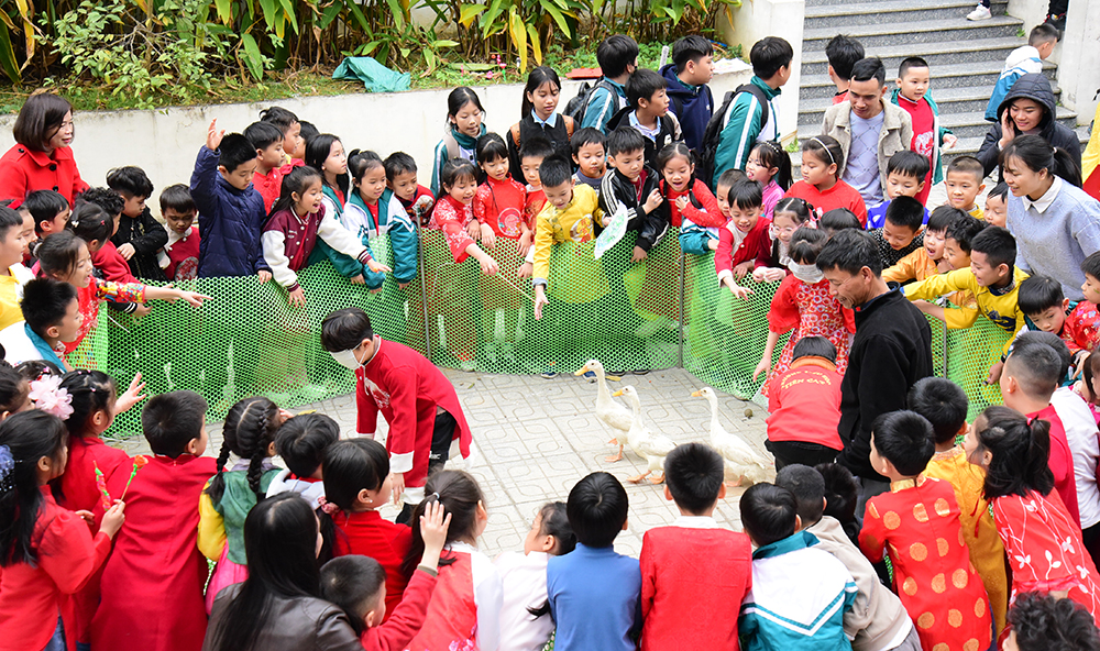 Exciting Experiences of Traditional Tet Festival