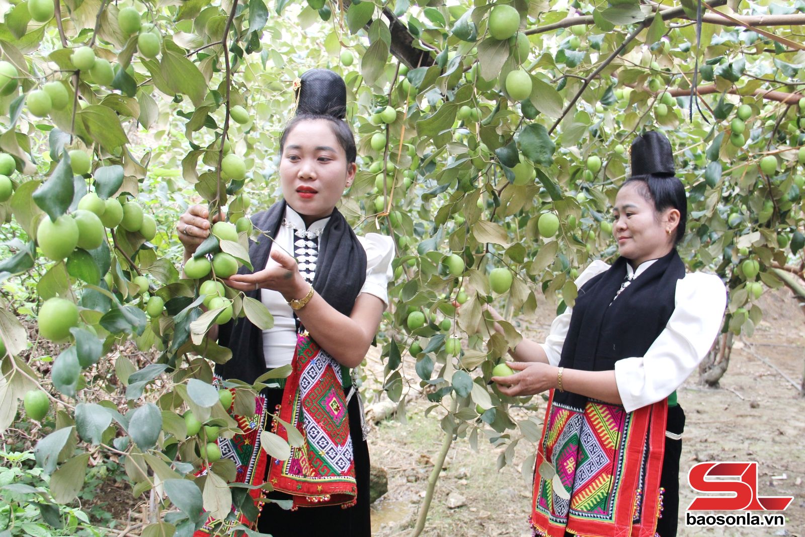 Đa dạng sản phẩm du lịch