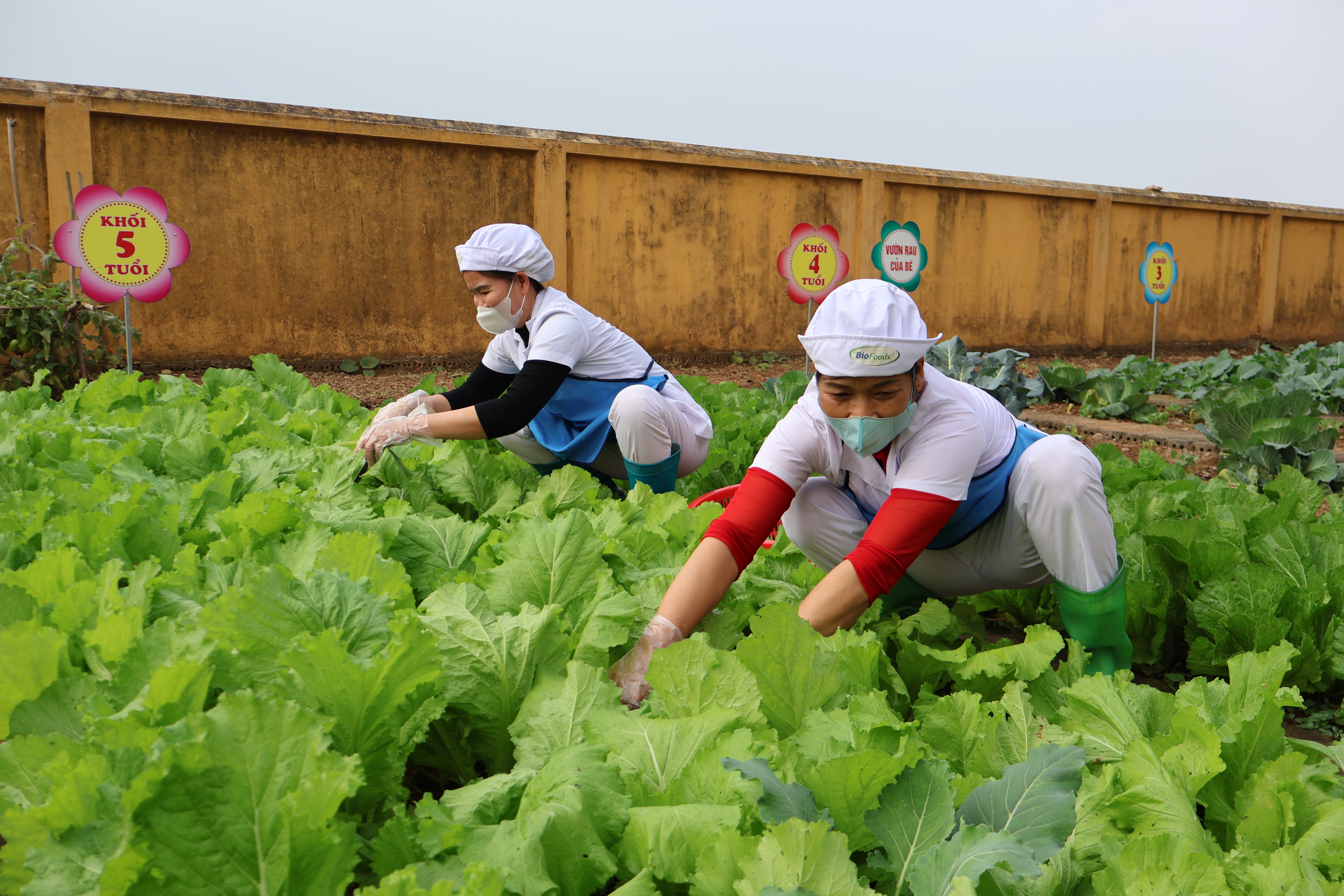 Thanh Sơn duy trì chất lượng bán trú sau kỳ nghỉ Tết