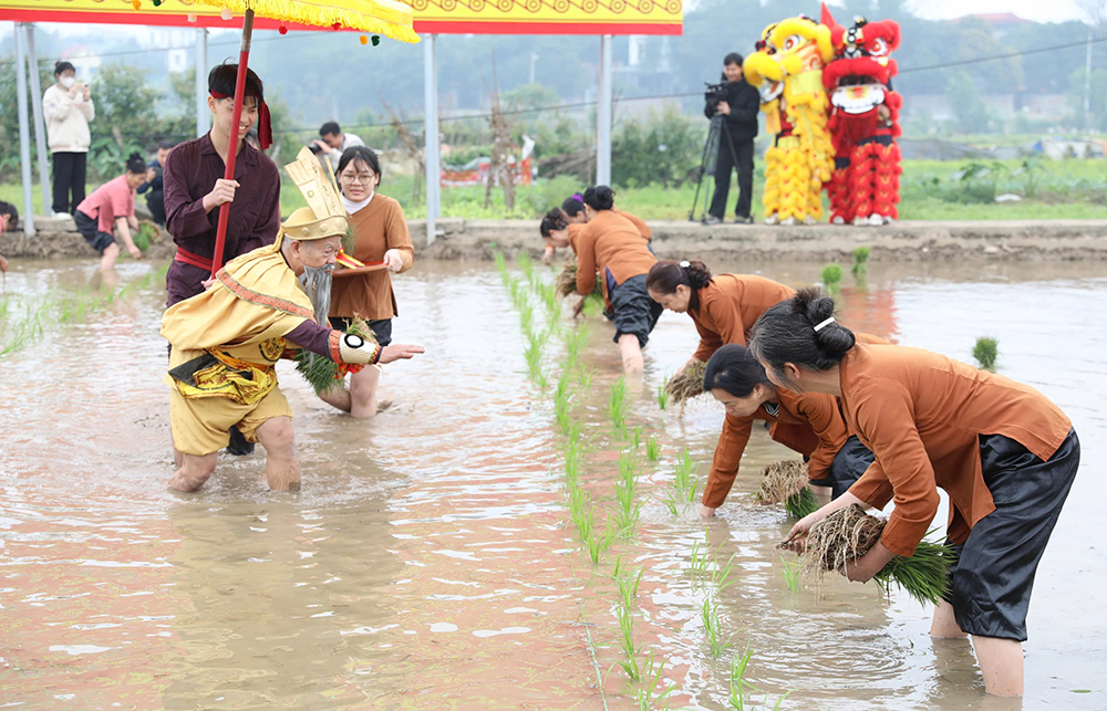 Lễ hội Vua Hùng dạy dân cấy lúa