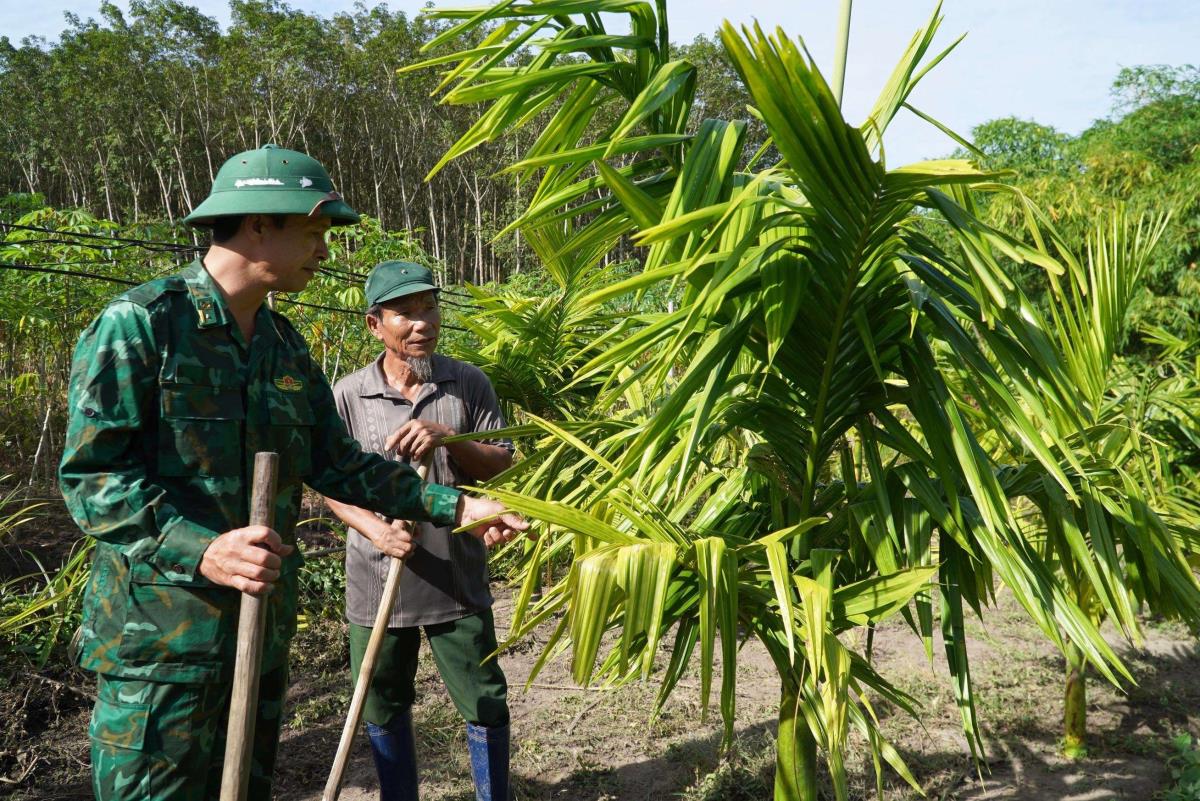 Tăng cường gắn kết quân - dân qua mô hình tạo sinh kế cho người dân vùng biên