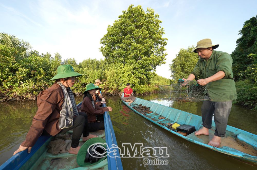 Du lịch trải nghiệm rừng đước