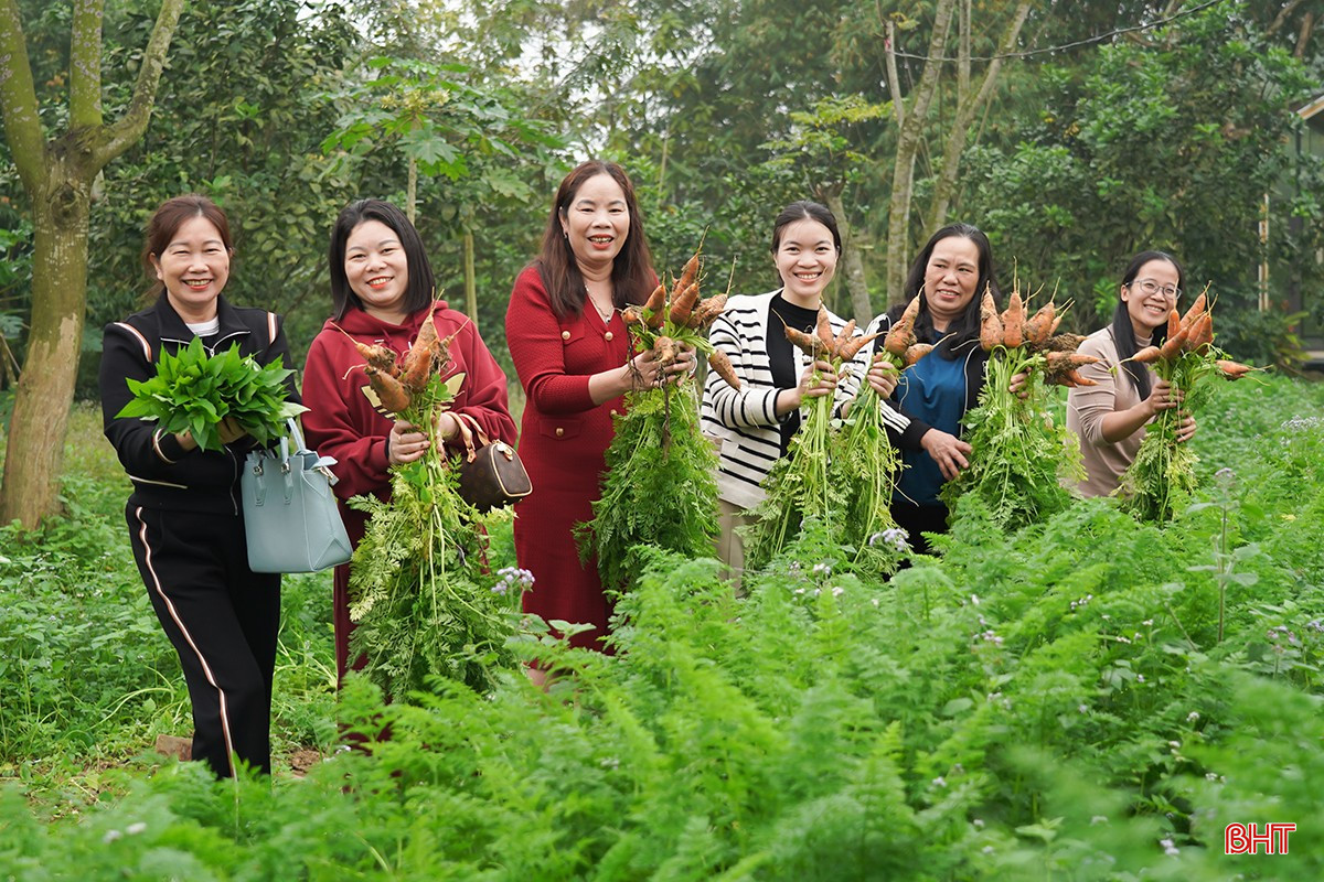 Khám phá trang trại nông nghiệp thuận tự nhiên ở Hà Tĩnh