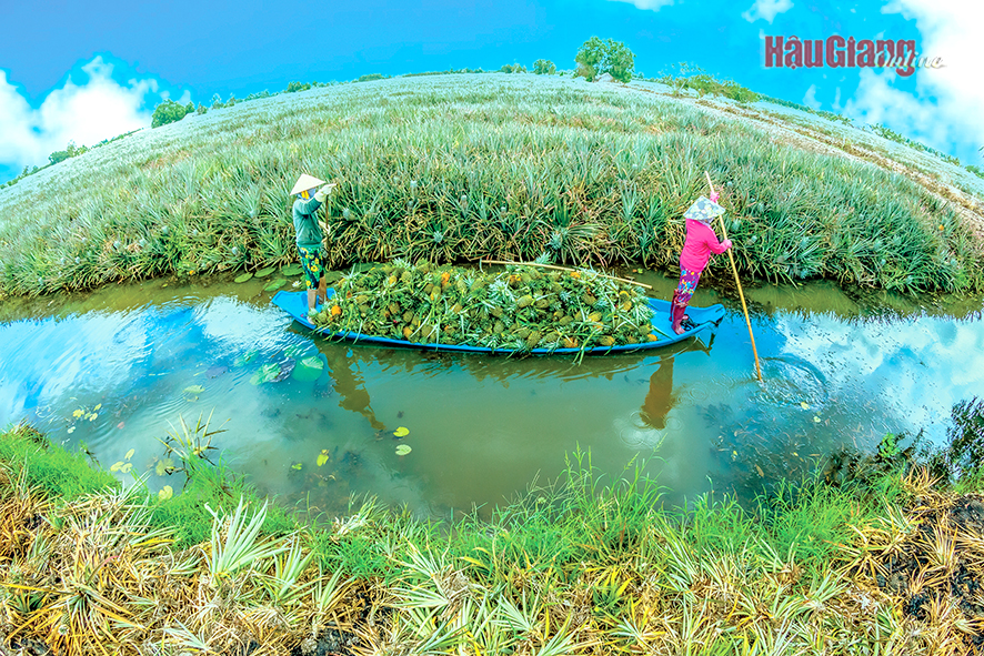 “Chuyện tình cây và đất” trong làm du lịch