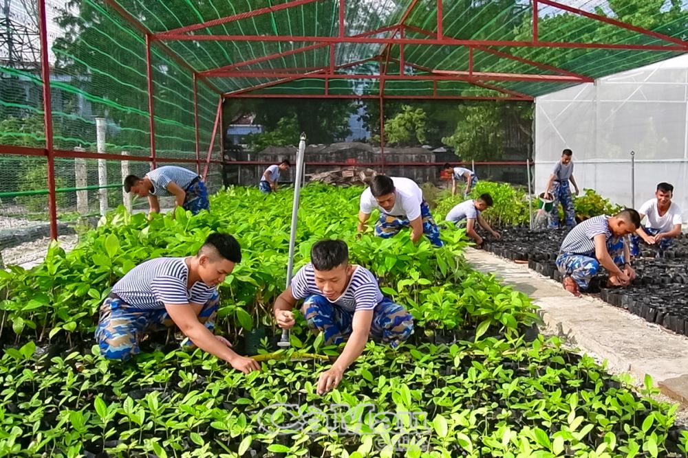 Ra Trường Sa xem “Sơn Ca ba nhất”