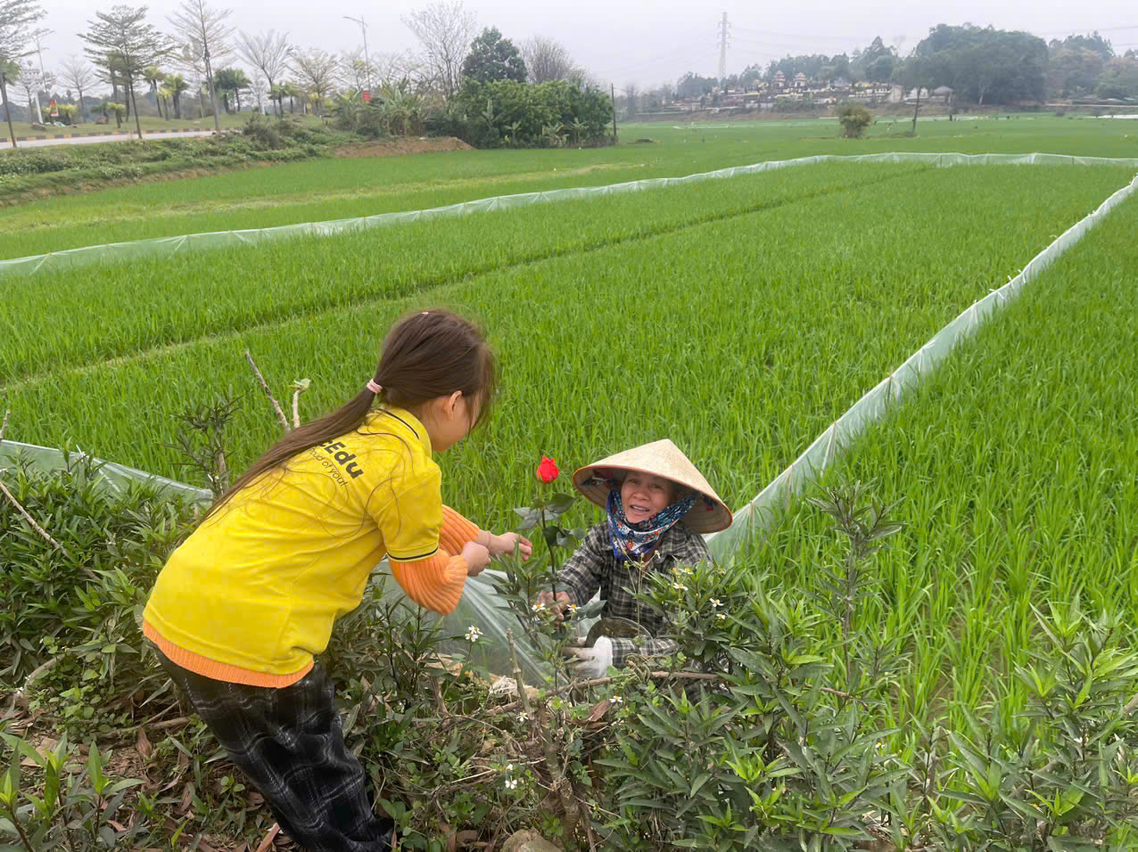 Những hành động thiết thực sẽ thay ngàn lời nói