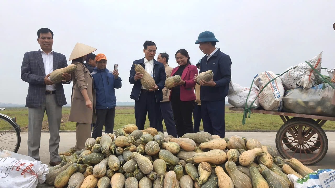 Lâm Thao: Điểm sáng trong nông nghiệp hàng hóa cận đô thị