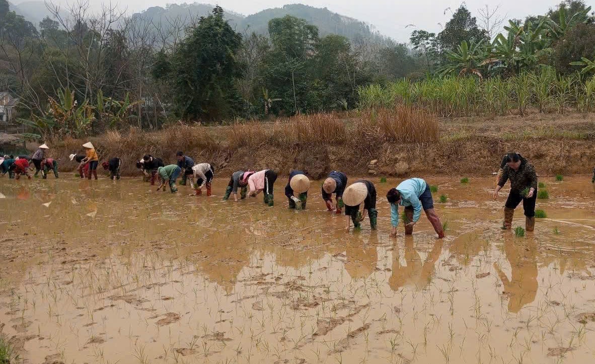 Huyện Tân Sơn chăm lo đời sống phụ nữ