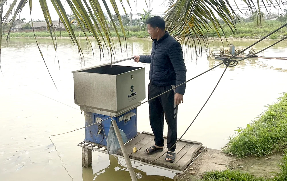 Nuôi cá vùng đất trũng