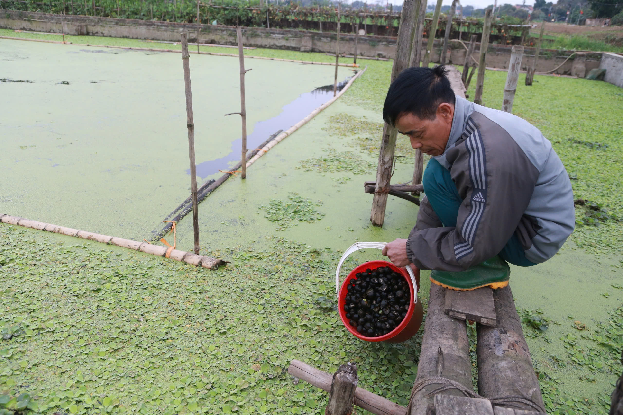 Giúp nông dân vượt khó làm giàu