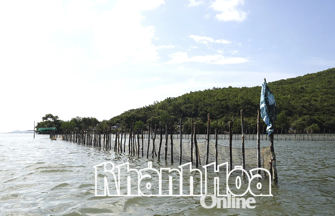 Bình yên trên đầm Nha Phu