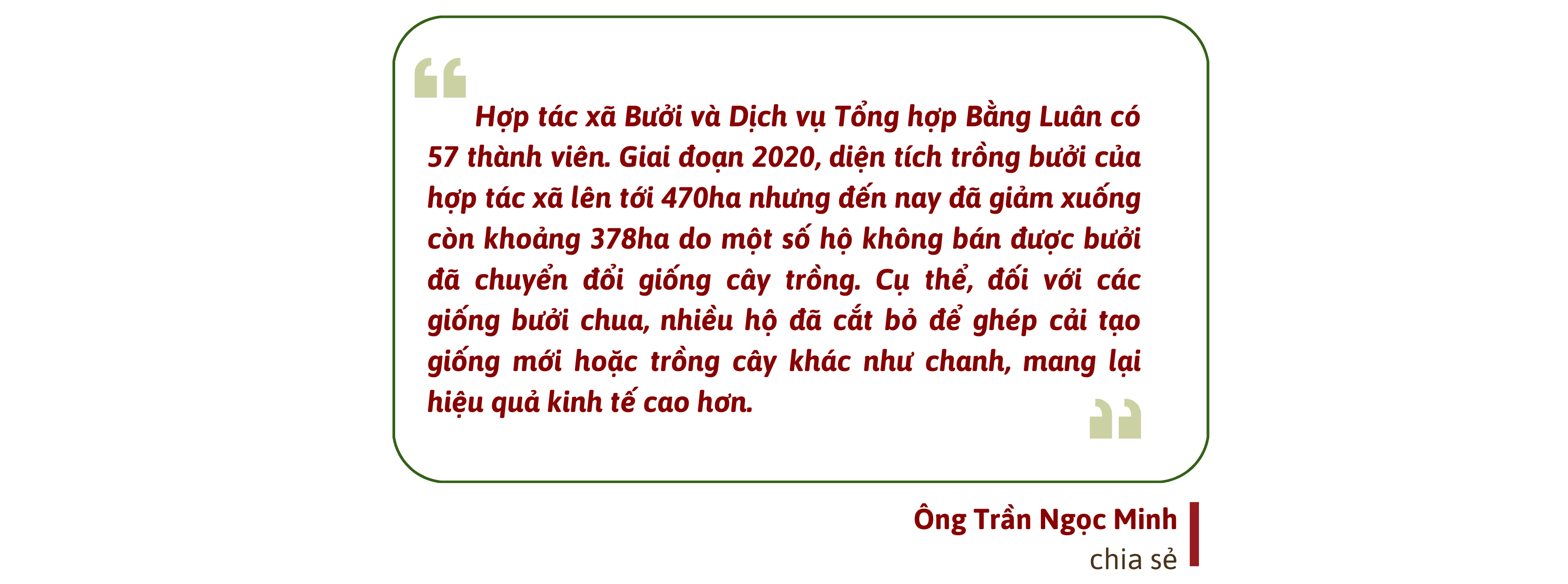 Mùa “se duyên” cho bưởi