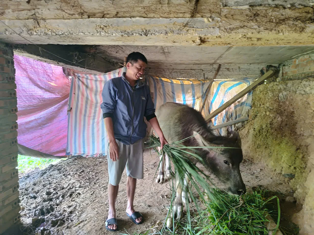 Trao cơ hội thoát nghèo