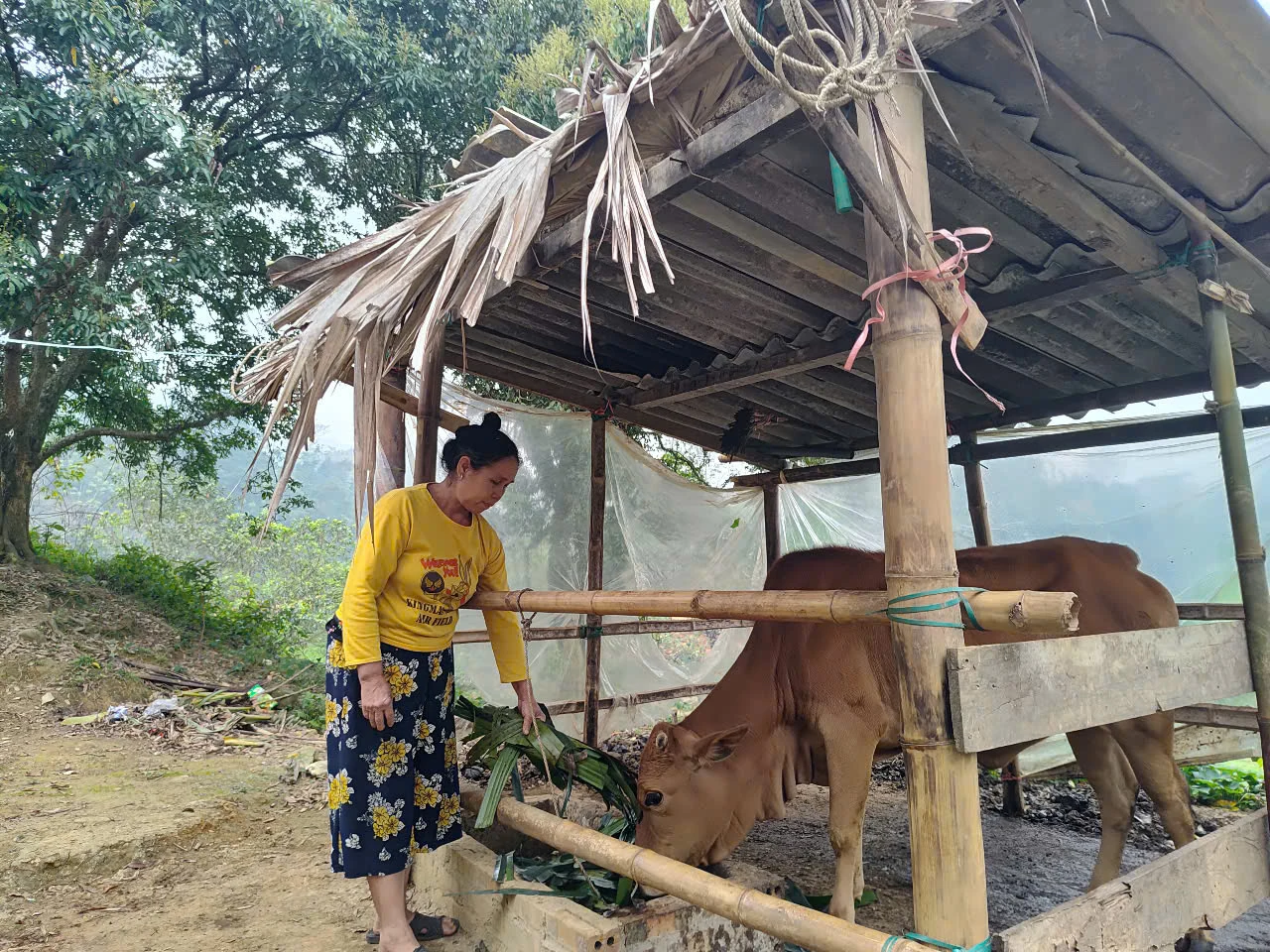 Trao cơ hội thoát nghèo