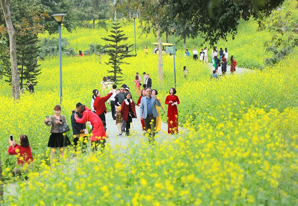 Viet Tri: The essence of radiance