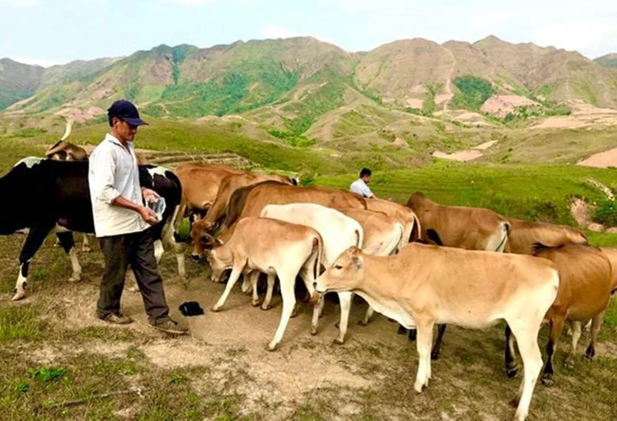 Vững vàng thế trận lòng dân nơi biên cương Tổ quốc