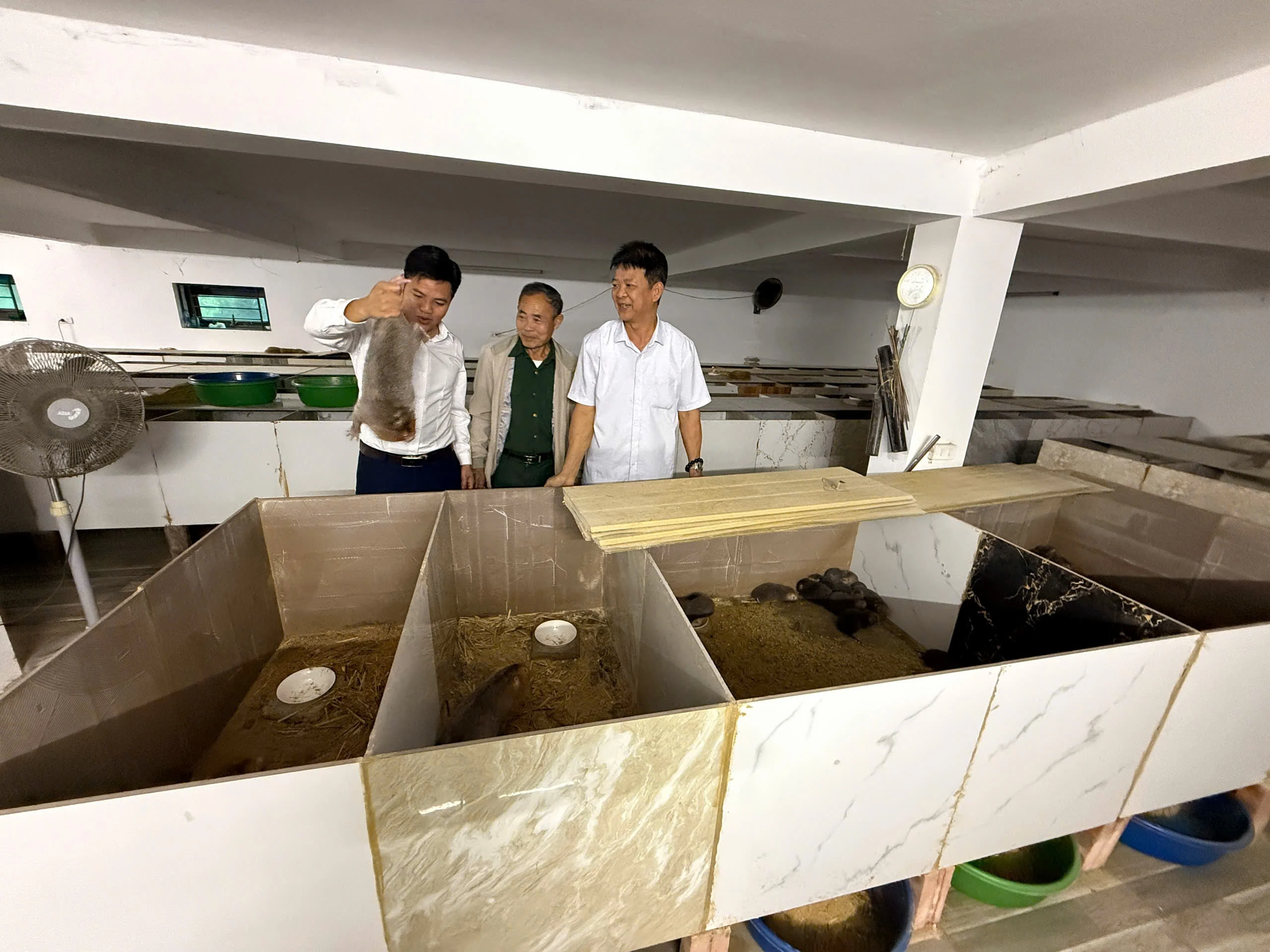 Nông dân Cao Xá thi đua sản xuất, kinh doanh giỏi