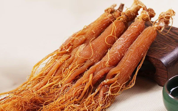 7 bài thuốc từ nhân sâm trị huyết áp thấp