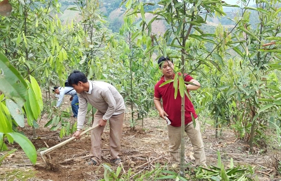 Dự án Hỗ trợ sản xuất giúp đồng bào DTTS thoát nghèo bền vững