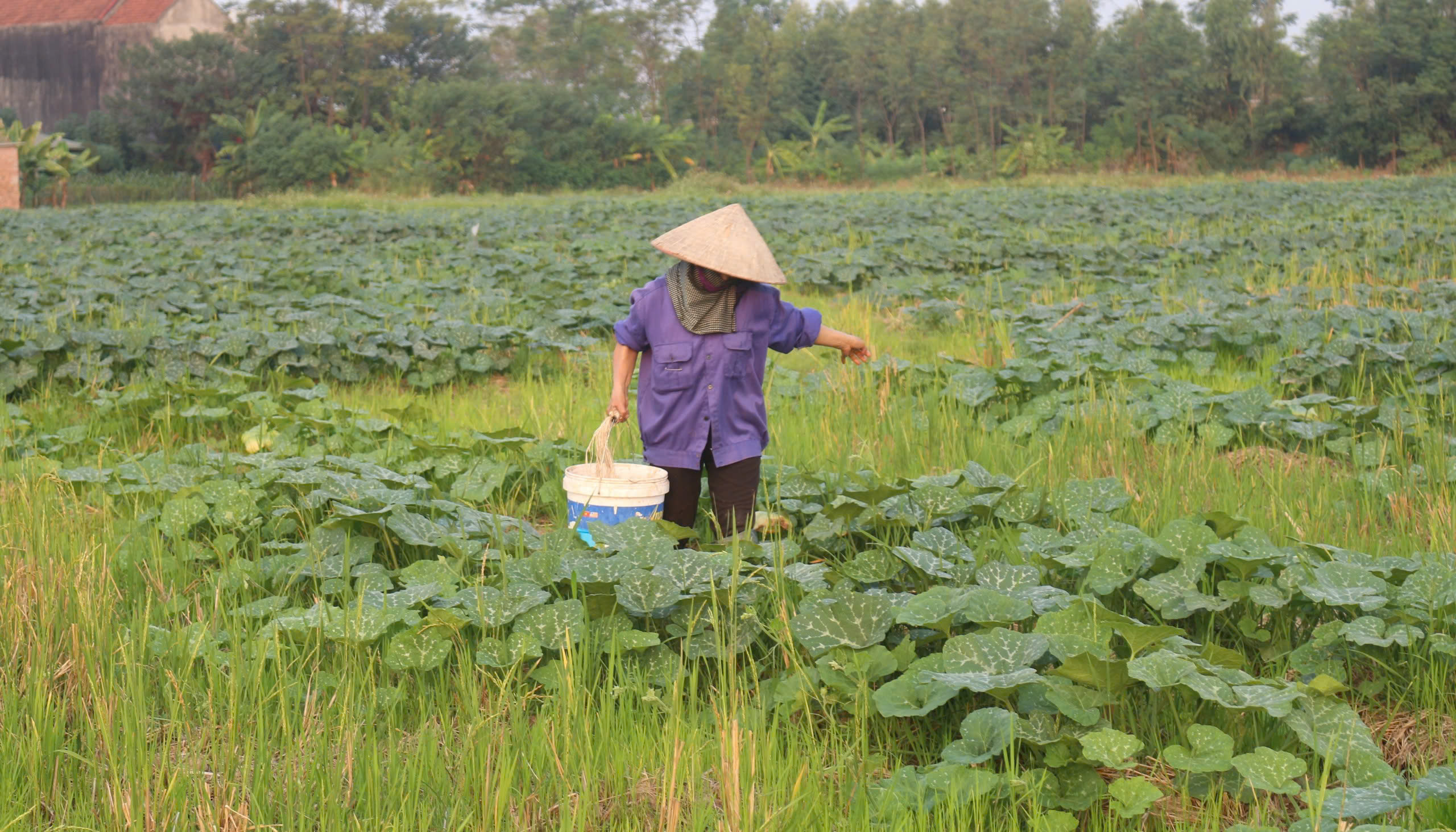 Kỳ 3: Trên dưới đồng lòng, dọc ngang thông suốt 