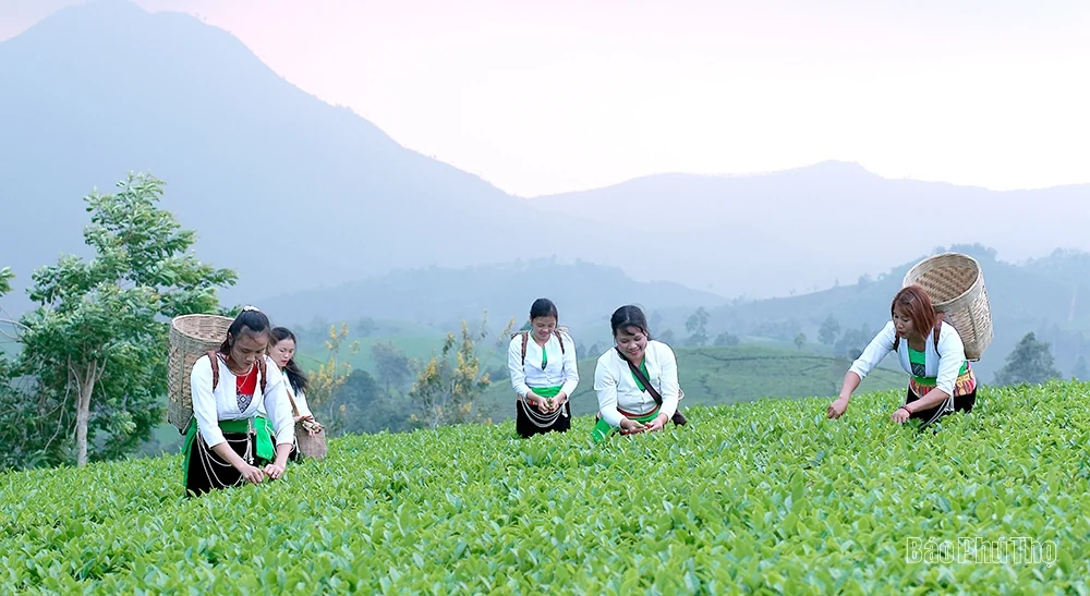 Vẻ đẹp miền sơn cước Tân Sơn