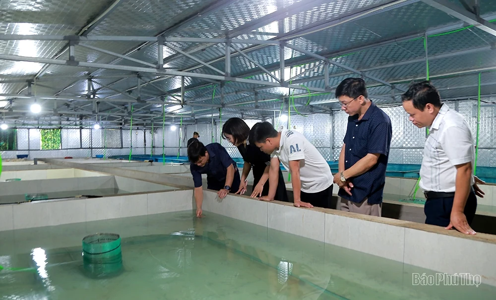 Vẻ đẹp miền sơn cước Tân Sơn