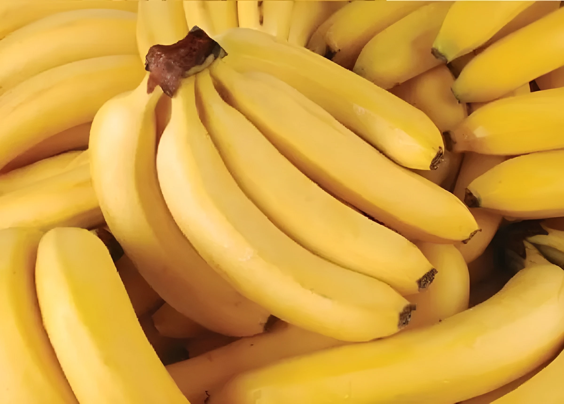 Người trưởng thành bị mỡ máu cao nên ăn gì?