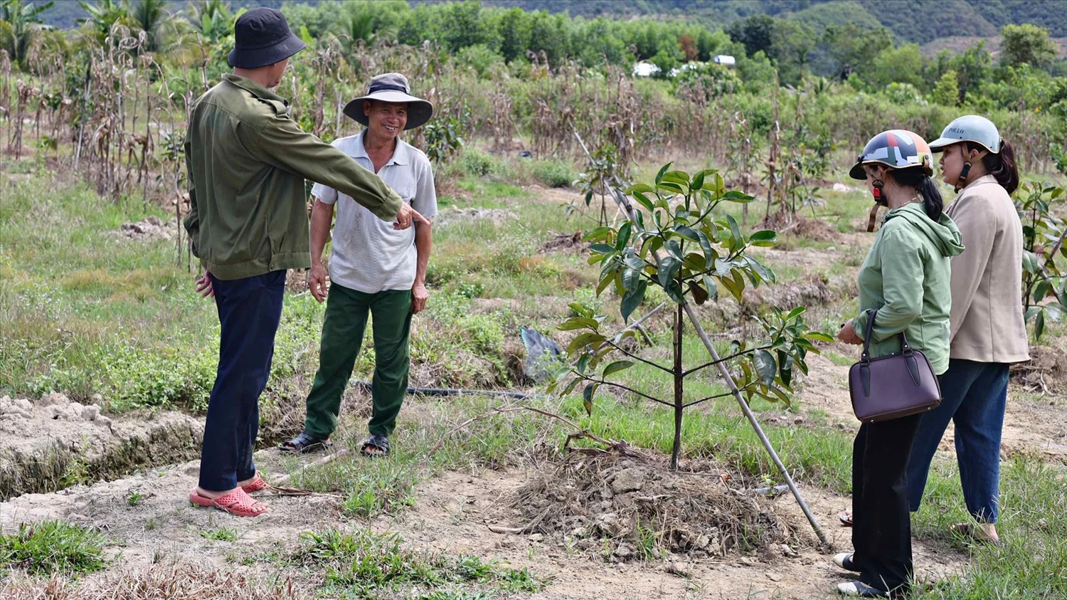 Tập trung đầu tư toàn diện cho vùng đồng bào DTTS