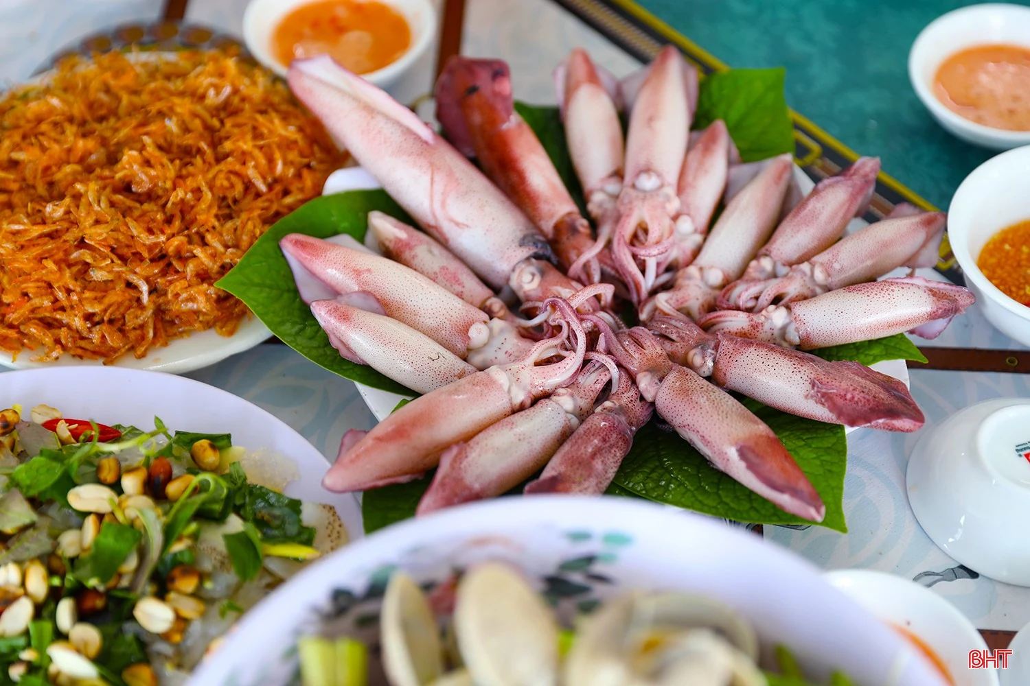 Vì sao du khách đến Hà Tĩnh nhất định thưởng thức mực nhảy Vũng Áng?