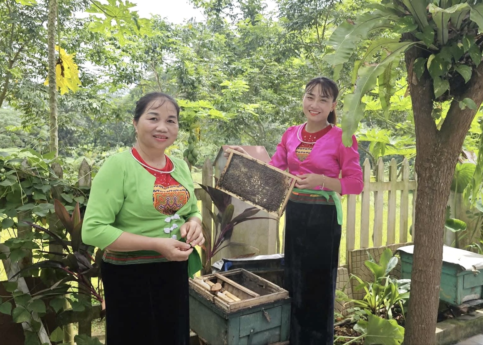 Honey beekeeping in Tan Son: A harmonious way of life rooted in nature
